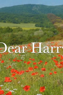 Dear Harry