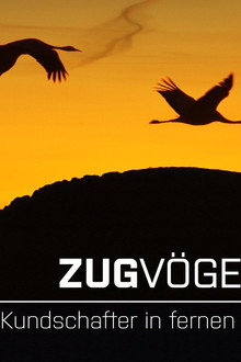 Zugvögel - Kundschafter in fernen Welten