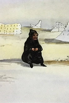 Улитки