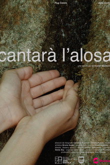 Cantarà L'Alosa