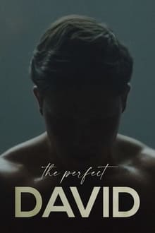 Poster do filme The Perfect David