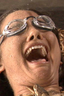 Fear Factor