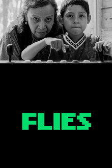 Flies