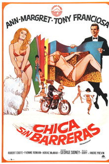 Chica sin barreras