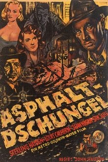 Asphalt-Dschungel