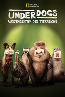 Staffel 1