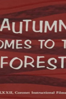 Autumn Comes to the Forest