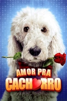 Poster do filme Amor Pra Cachorro