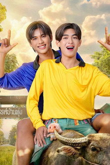 เขย่าหัวใจไอ้จอมดื้อ