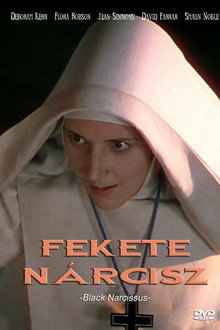 Fekete nárcisz
