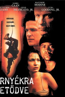 Árnyékra vetődve
