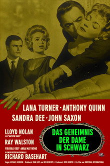 Das Geheimnis der Dame in Schwarz