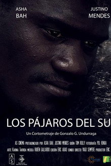Los Pájaros del Sur