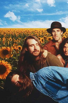 Blind Melon: Live in Chattanooga