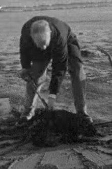 Sea Coal