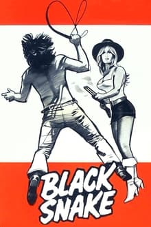Poster do filme Black Snake