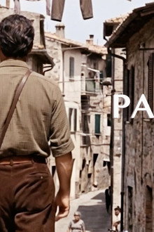 Pasolini Stories