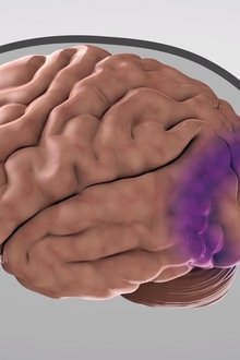 Unraveling-The-Creative-Mind