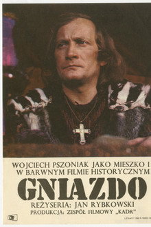 Gniazdo