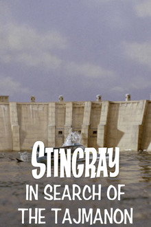 Stingray: In Search of the Tajmanon