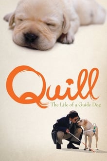 Poster do filme Quill: The Life of a Guide Dog