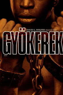 Gyökerek