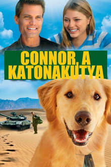 Connor, a katonakutya