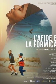 Poster do filme L'afide e la formica