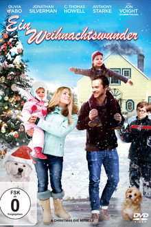Ein Weihnachtswunder