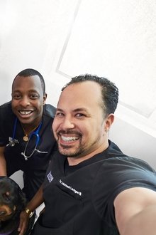 The-Vet-Life