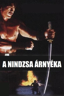 A nindzsa árnyéka