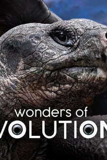 Wonders of Evolution