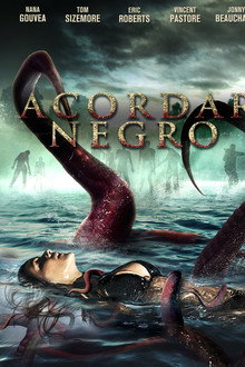 Acordar Negro