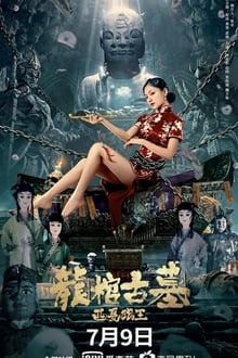 Poster do filme Tomb of the Dragon Coffin: The Wolf King of Western Xia