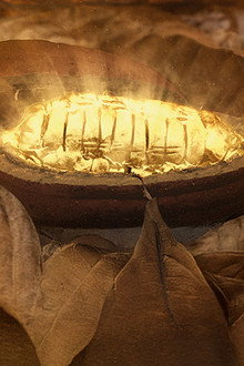 Cacao