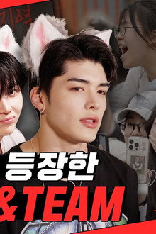 딩고 어택