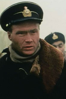 Торпедоносцы