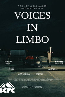 Voices In Limbo
