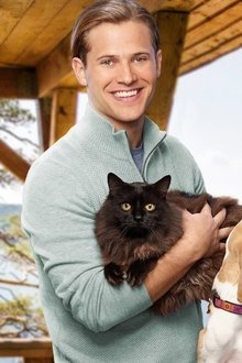 Zwei-wie-Hund-und-Katz'