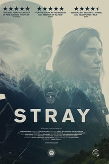 Poster do filme Stray