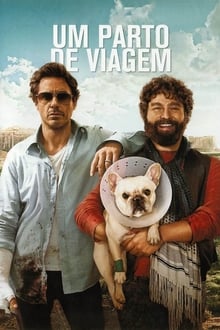 Poster do filme Um Parto de Viagem