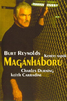 Magánháború