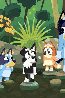 Bluey season 1 episode 29