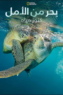 بحر الأمل: كنوز أميركا تحت الماء