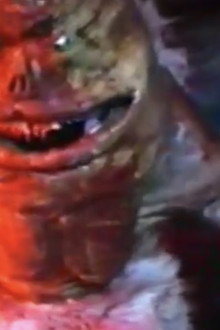 Glubsk, Sultens Gud