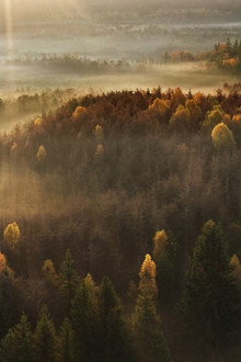 România Sălbatică