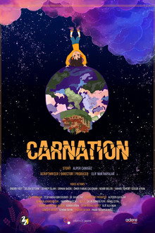 Carnation