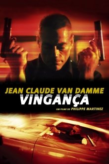 Poster do filme Vingança