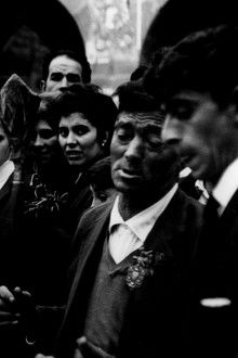 Lejos-de-los-árboles