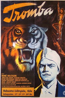 Tromba